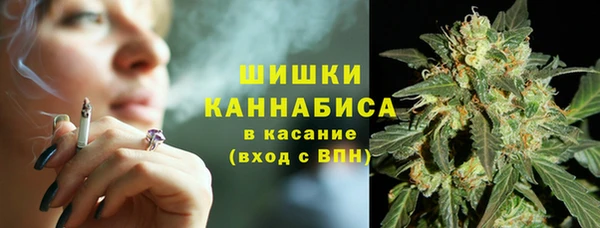 МДПВ Вязьма