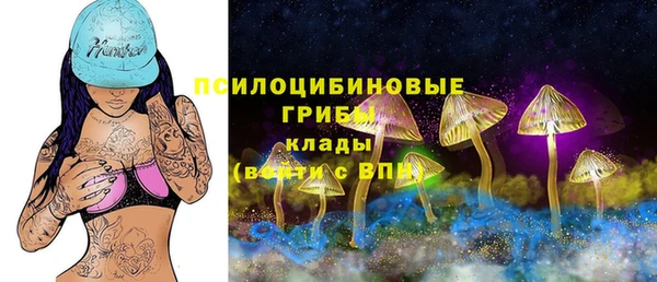 прущий лед Вязники