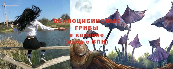 МДПВ Вязьма