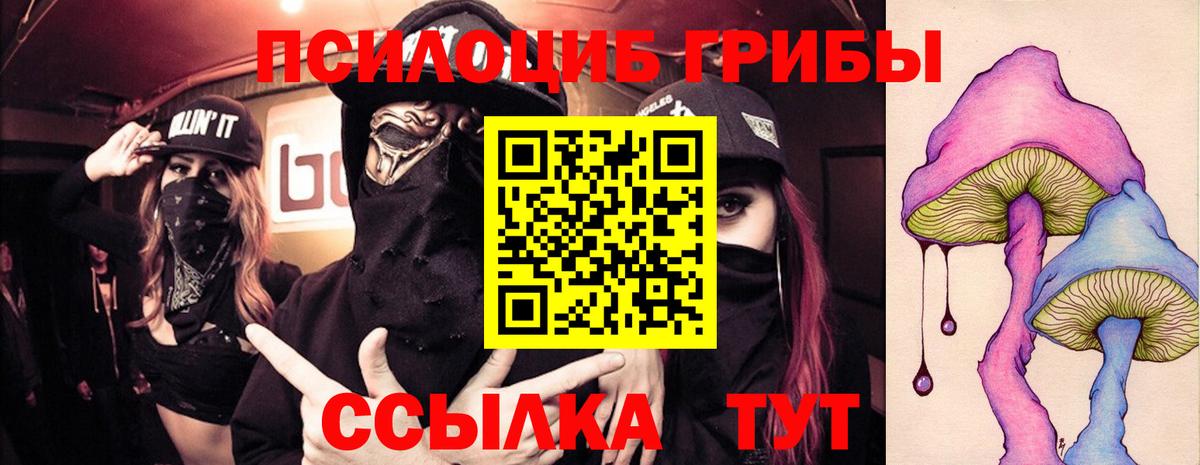 Псилоцибиновые грибы прущие грибы  Вход с VPN  Москва 